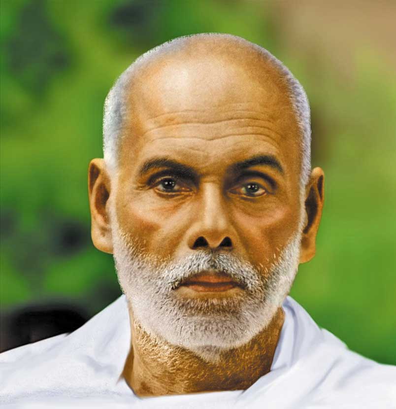 Buy Books Written By SREE NARAYANA GURU – Books Online in India – DC Books  Store